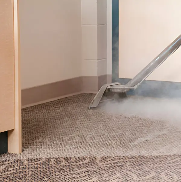 Carpet clean by vacuume-01