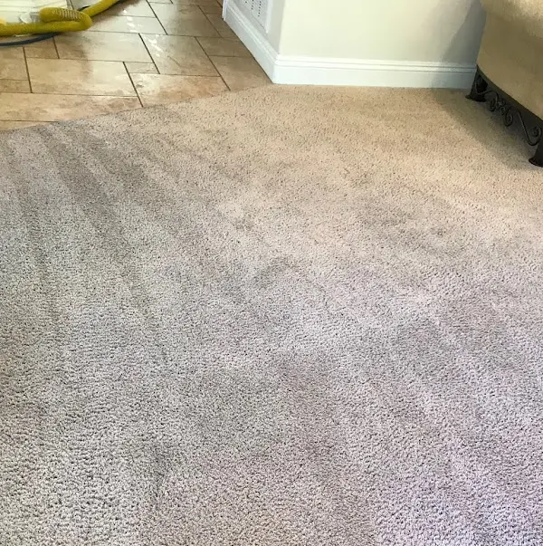 clean-carpet-in home