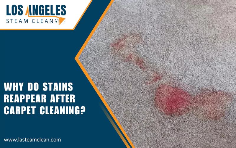 why carpet stains reappear after cleaning why carpet stains reappear after cleaning