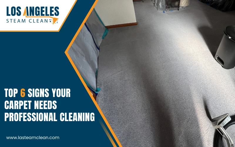 Top Signs Your Carpet Needs Professional Deep Cleaning