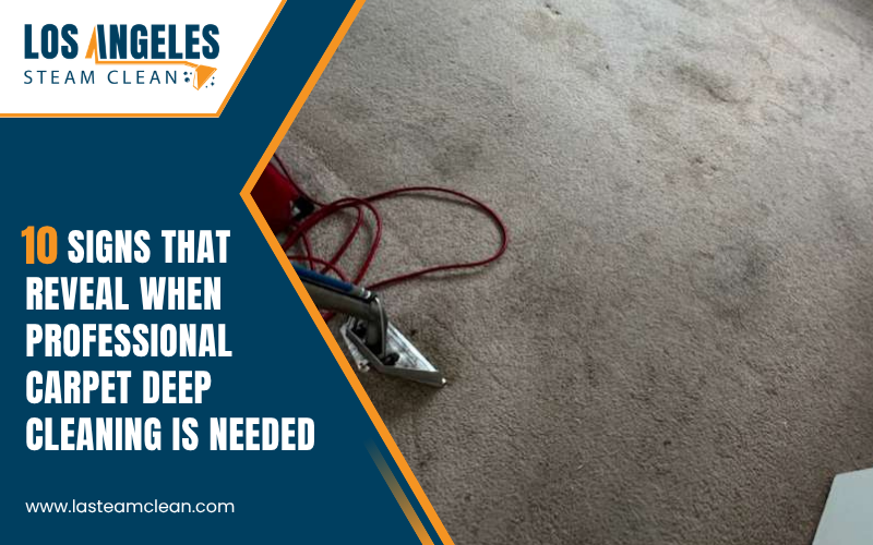 carpet deep cleaning carpet deep cleaning
