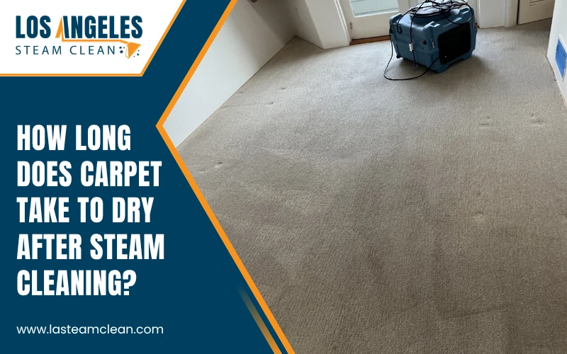 How Long Does Carpet Take to Dry After Steam Cleaning How Long Does Carpet Take to Dry After Steam Cleaning