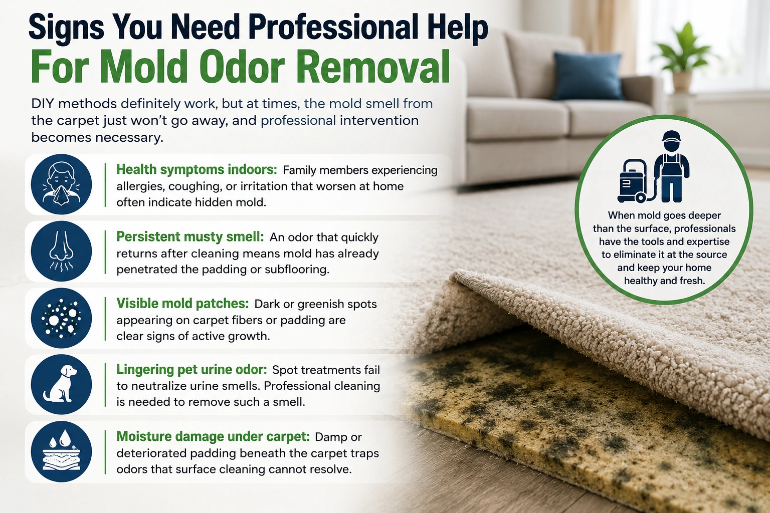 Signs You Need Professional Help For Mold Odor Removal